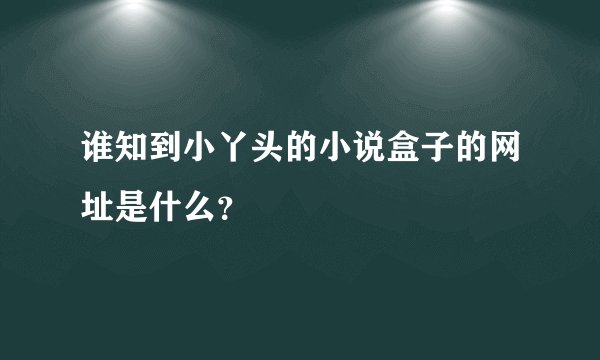 谁知到小丫头的小说盒子的网址是什么？