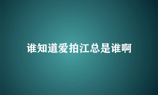 谁知道爱拍江总是谁啊