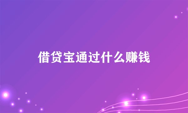 借贷宝通过什么赚钱