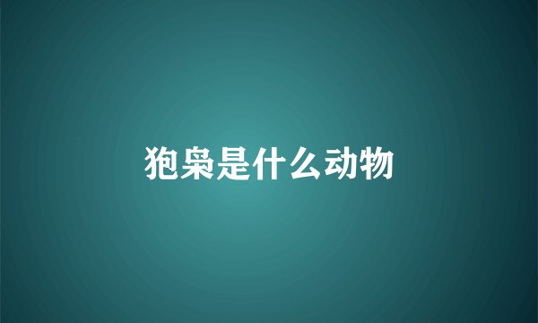 狍枭是什么动物
