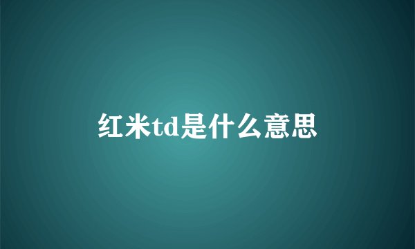 红米td是什么意思