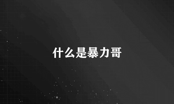 什么是暴力哥