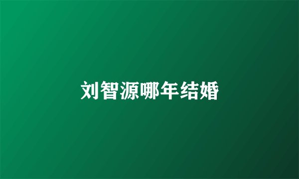刘智源哪年结婚