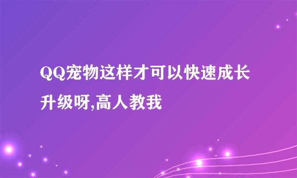 QQ宠物这样才可以快速成长升级呀,高人教我