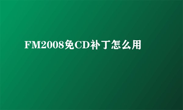 FM2008免CD补丁怎么用