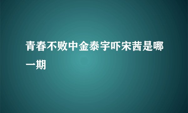 青春不败中金泰宇吓宋茜是哪一期
