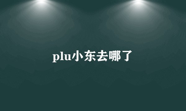 plu小东去哪了