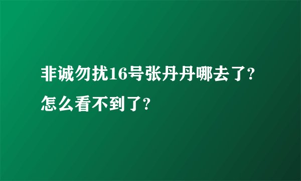 非诚勿扰16号张丹丹哪去了?怎么看不到了?