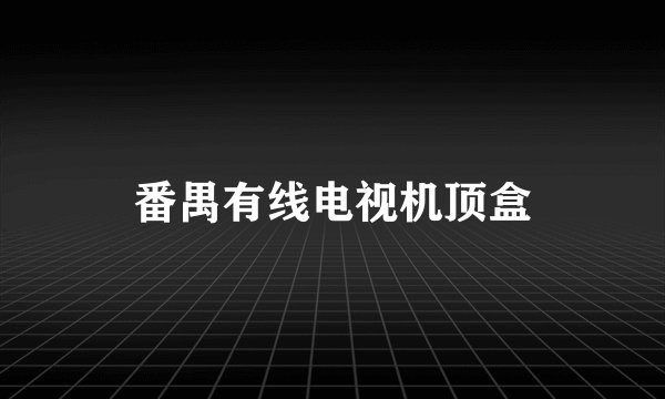 番禺有线电视机顶盒