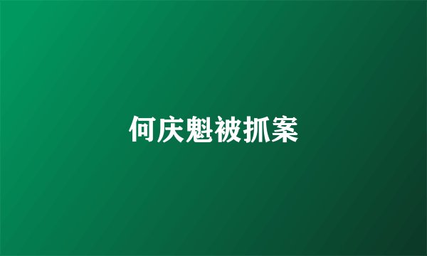 何庆魁被抓案