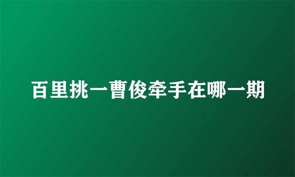 百里挑一曹俊牵手在哪一期