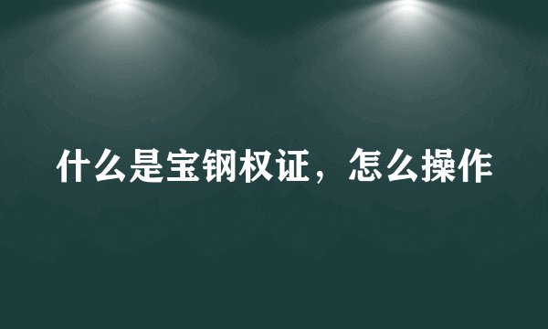 什么是宝钢权证,怎么操作