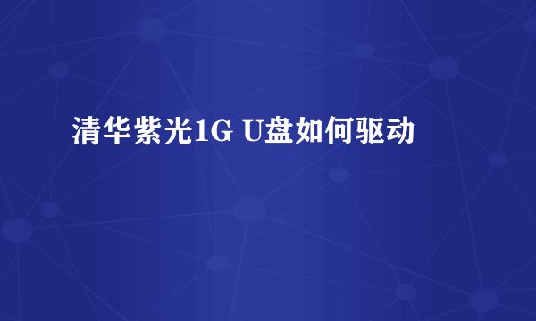清华紫光1G U盘如何驱动
