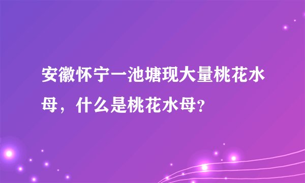 安徽怀宁一池塘现大量桃花水母，什么是桃花水母？