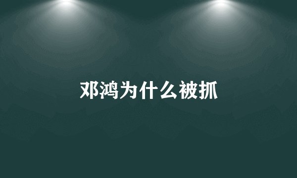 邓鸿为什么被抓