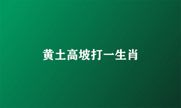 黄土高坡打一生肖