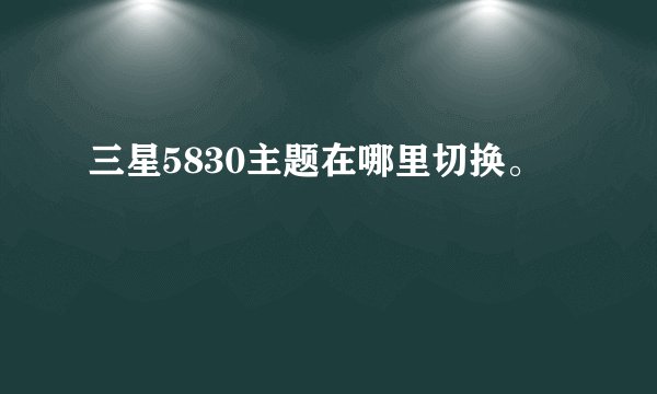 三星5830主题在哪里切换。