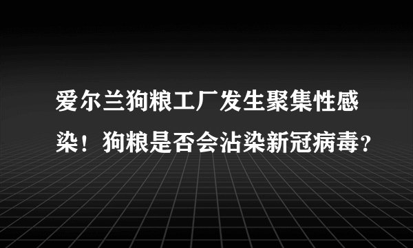 爱尔兰狗粮工厂发生聚集性感染!狗粮是否会沾染新冠病毒?