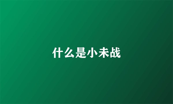 什么是小未战