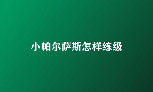 小帕尔萨斯怎样练级