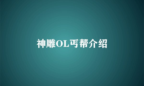 神雕OL丐帮介绍