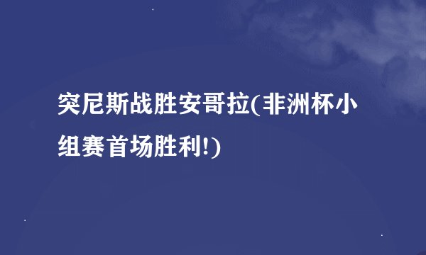突尼斯战胜安哥拉(非洲杯小组赛首场胜利!)