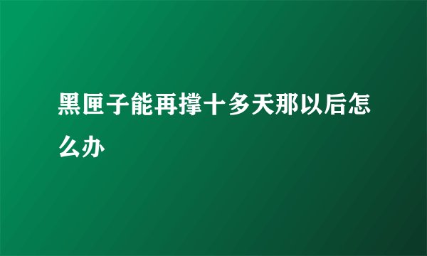 黑匣子能再撑十多天那以后怎么办