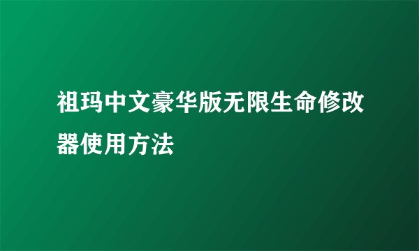 祖玛中文豪华版无限生命修改器使用方法