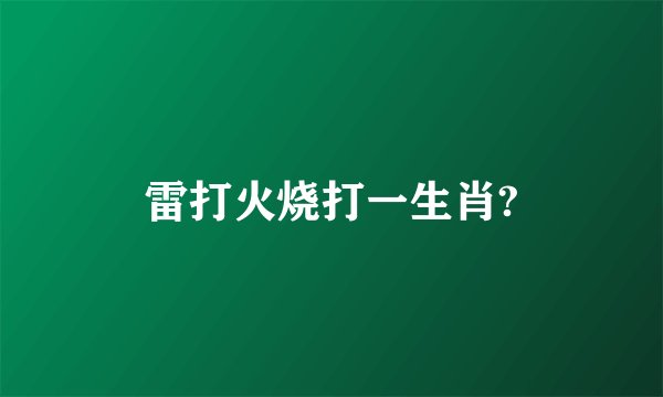 雷打火烧打一生肖?