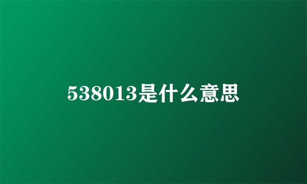 538013是什么意思