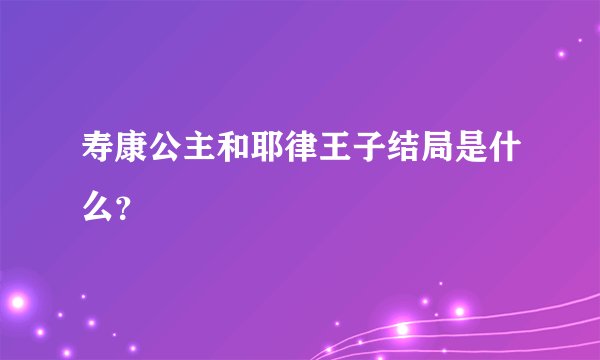 寿康公主和耶律王子结局是什么？