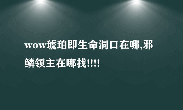 wow琥珀即生命洞口在哪,邪鳞领主在哪找!!!!