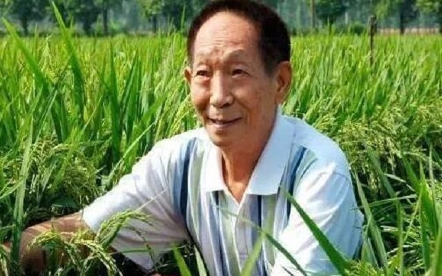 袁隆平多年在路边小店理发，他生前的生活有多朴素？