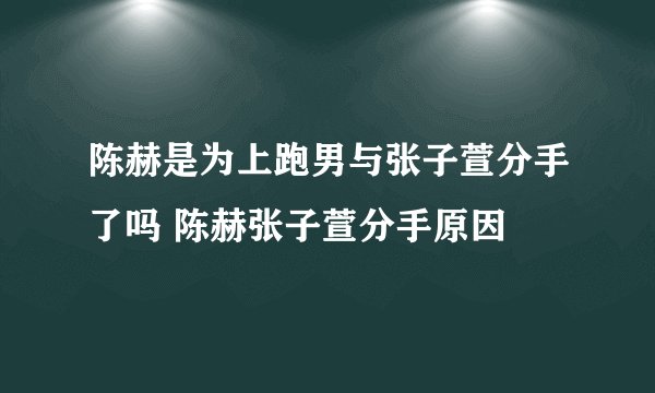 陈赫是为上跑男与张子萱分手了吗 陈赫张子萱分手原因