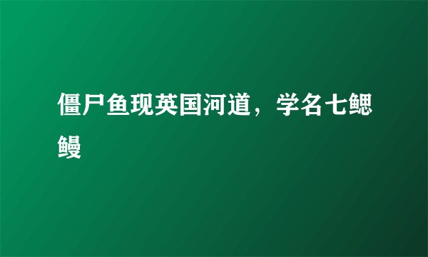 僵尸鱼现英国河道，学名七鳃鳗