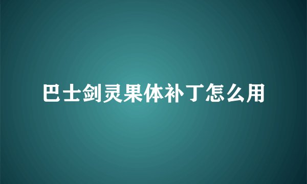 巴士剑灵果体补丁怎么用