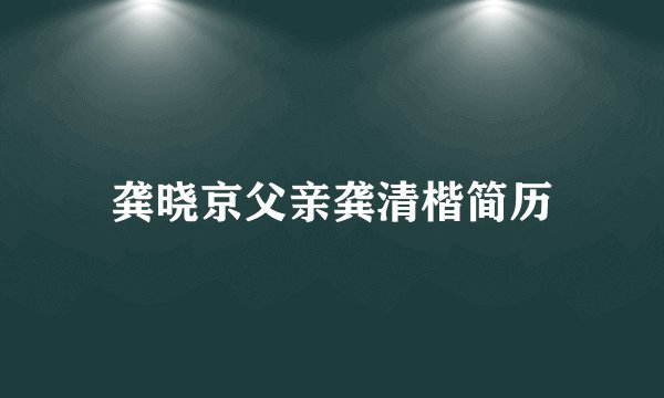 龚晓京父亲龚清楷简历