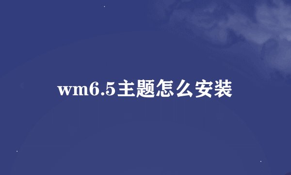 wm6.5主题怎么安装