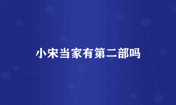 小宋当家有第二部吗