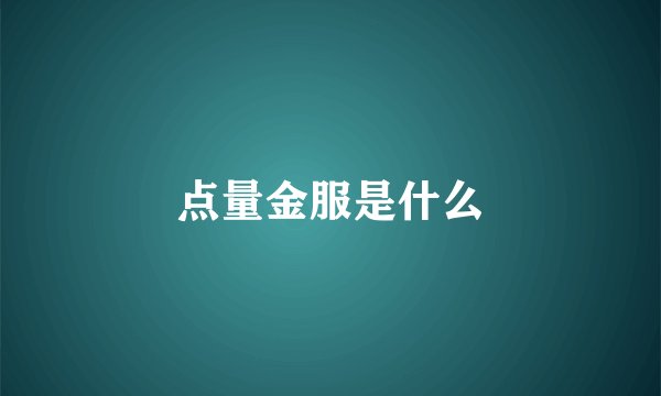 点量金服是什么