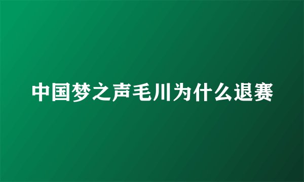 中国梦之声毛川为什么退赛