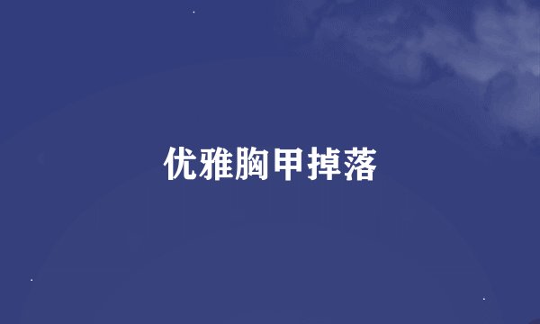 优雅胸甲掉落
