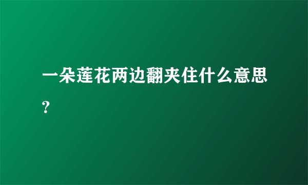 一朵莲花两边翻夹住什么意思？