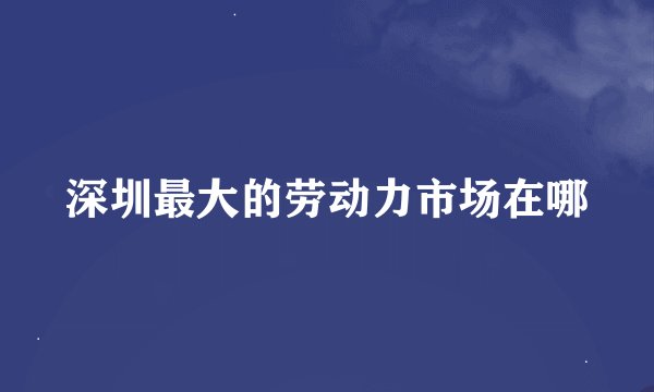 深圳最大的劳动力市场在哪