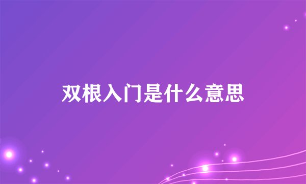 双根入门是什么意思