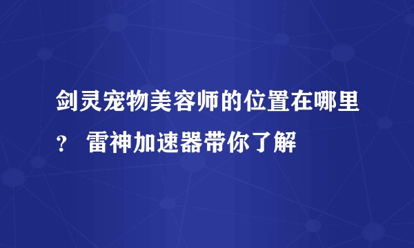 剑灵宠物美容师的位置在哪里？ 雷神加速器带你了解