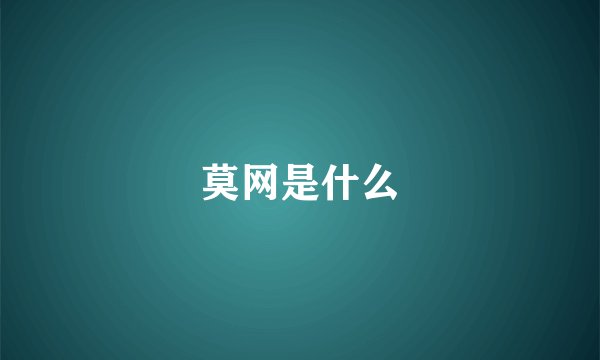 莫网是什么