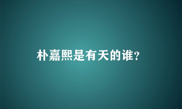 朴嘉熙是有天的谁？