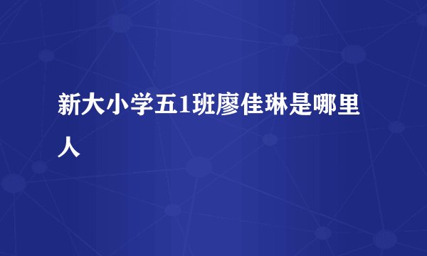 新大小学五1班廖佳琳是哪里人