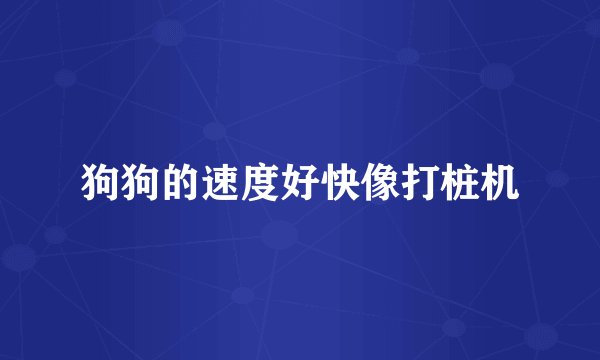 狗狗的速度好快像打桩机